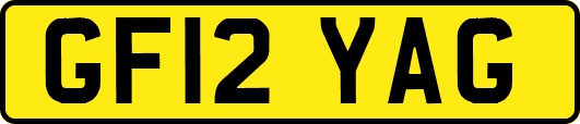 GF12YAG