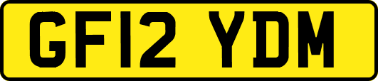 GF12YDM