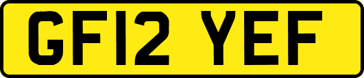 GF12YEF
