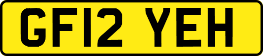 GF12YEH