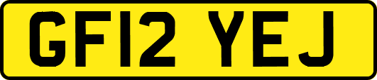GF12YEJ