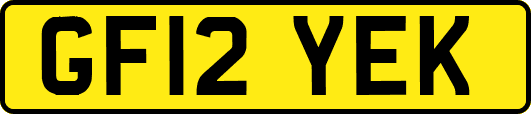 GF12YEK