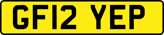 GF12YEP