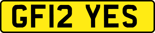 GF12YES