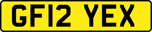 GF12YEX