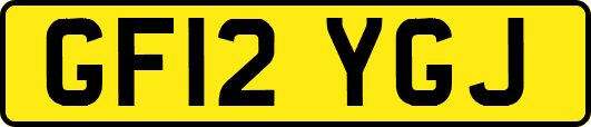 GF12YGJ