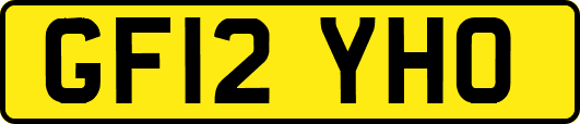 GF12YHO