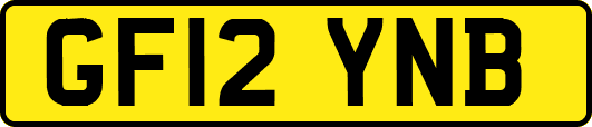 GF12YNB