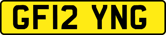GF12YNG
