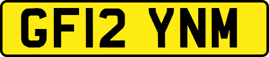 GF12YNM