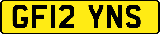 GF12YNS