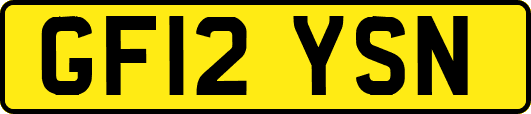 GF12YSN