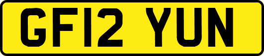 GF12YUN