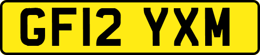 GF12YXM