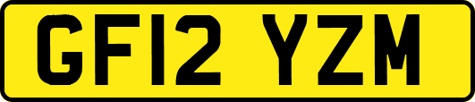 GF12YZM