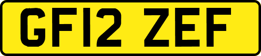 GF12ZEF