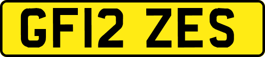 GF12ZES