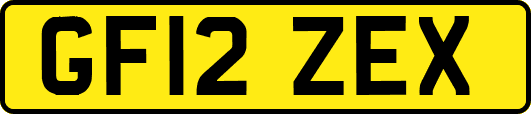 GF12ZEX