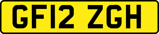 GF12ZGH