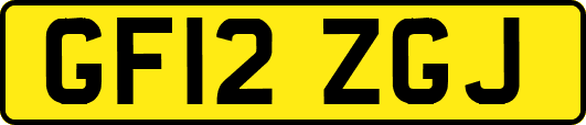 GF12ZGJ