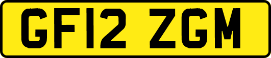 GF12ZGM