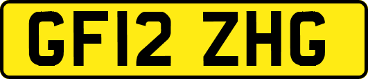 GF12ZHG