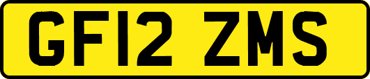 GF12ZMS