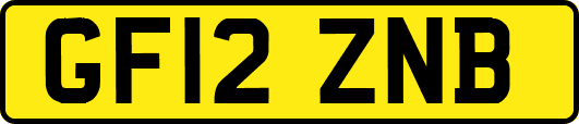 GF12ZNB