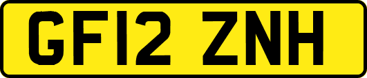 GF12ZNH
