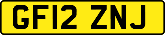 GF12ZNJ