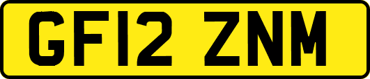 GF12ZNM