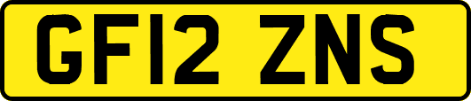 GF12ZNS