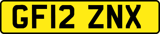 GF12ZNX