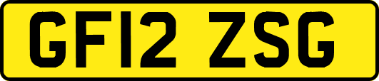 GF12ZSG