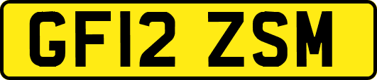 GF12ZSM