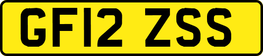 GF12ZSS