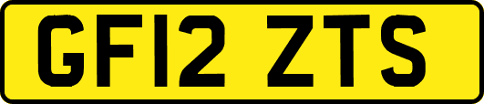 GF12ZTS