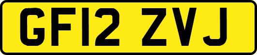 GF12ZVJ