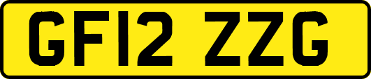 GF12ZZG