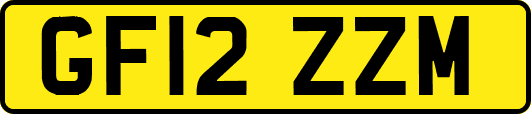 GF12ZZM