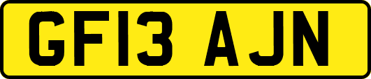 GF13AJN