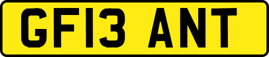 GF13ANT