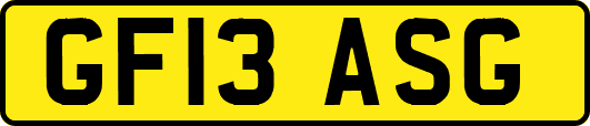 GF13ASG