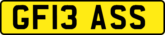 GF13ASS