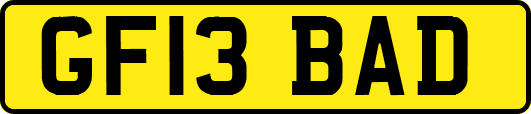 GF13BAD