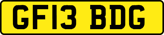 GF13BDG