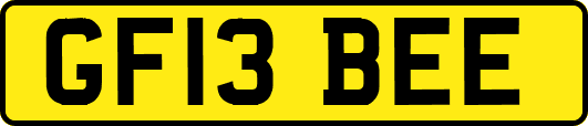 GF13BEE