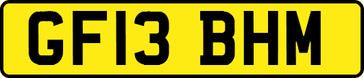 GF13BHM