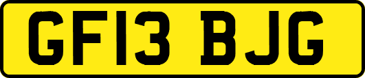 GF13BJG