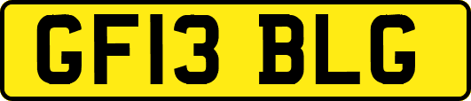 GF13BLG
